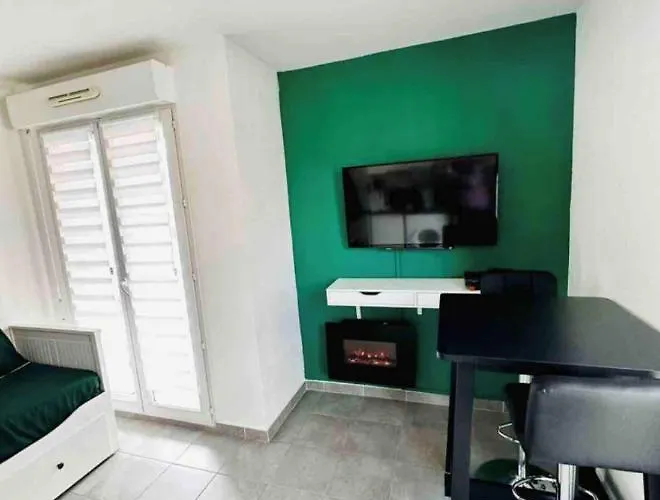 Appartement Studio Lejlighed Nice